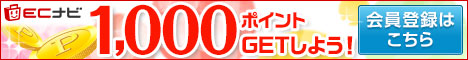 毎日貯まるポイントサイト ECナビ