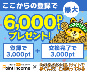 暮らしをおトクにかえていく|ポイントインカム