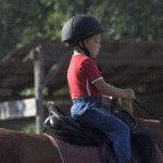 ブログで稼ぎたい！初心者ブロガーが色々情報収集した結果･･･