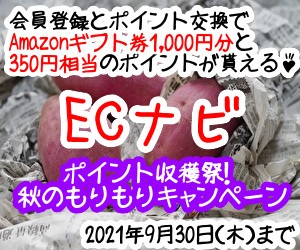 ECナビTOP用画像