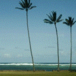 またモッピーに新ゲームが来た！！稼げるか検証してみた