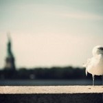 Twitter始めてみました