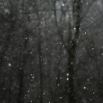 大雪で渋滞で頑張ったけど忍者1円とかうける