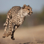 お小遣いサイト【ポイントタウン】即効でポイントを現金に換える方法