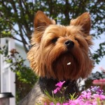 ポイントインカムの登録方法を画像付きで詳しく説明する