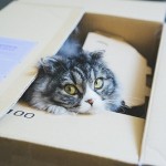 ハピタスのamazonキャンペーン終了！･･･ショックで倒れそう