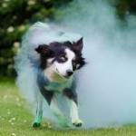 ポイントインカムで効率良く稼ぐ！コンテンツを攻略・評価した！