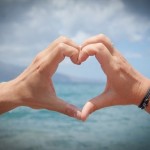 検索キーワード上位表示はやはり凄い【サイト集客実績20ヶ月目】