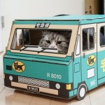 「POINT WALLET VISA PREPAID」が届いた!!