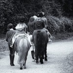 お小遣いサイト「PONEY」友達紹介制度について