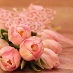 ハピタス「zoto母の日キャンペーン」同じギフトが貰える