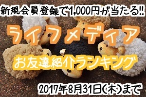 ライフメディア友達紹介ランキング用サイド