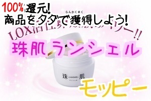 珠肌ランシェルモッピー