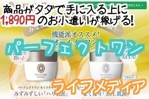 パーフェクトワンライフメディア