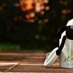 ライフメディア無料で稼げるコンテンツまとめ【2017年度最新版】