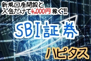 SBI証券サイドバナー用