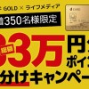 33万円分山分けキャンペーン