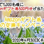 【モッピー】抽選で1,000名にAmazonギフト券500円分が当たる！「Amazonギフト券春の交換キャンペーン」