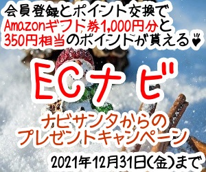 ECナビTOP用