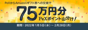 75万円分ポイント山分け